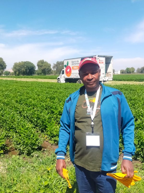 Food Banking Kenya field officer assessing a partner farm for produce recovery in Kenya